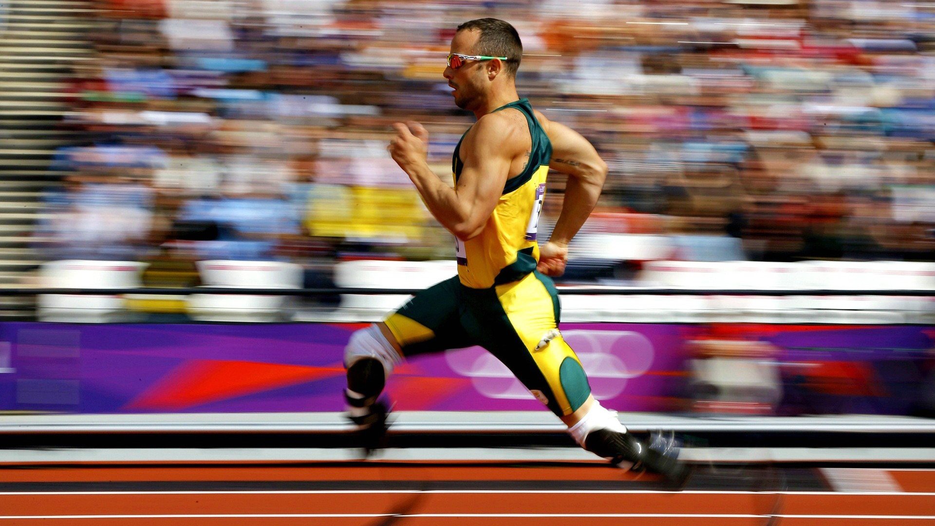 体育新闻中心承办体育行业数字营销趋势峰会,数字体育市场